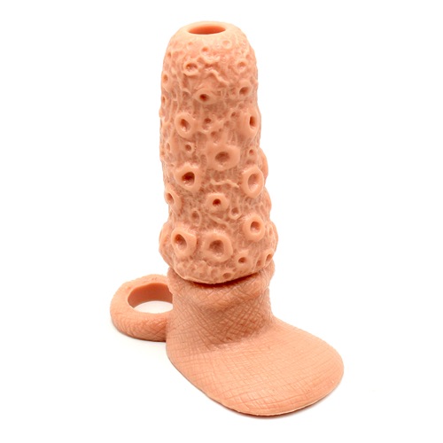 Accesorio — 12.5 cm