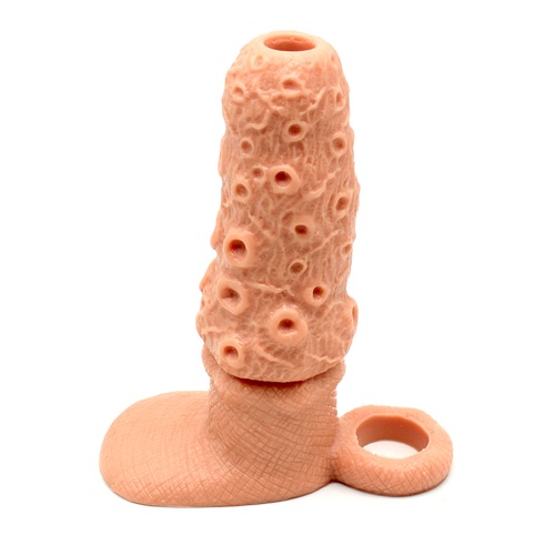 Accessory — 12.5 cm 2